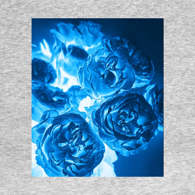 Cyanotype Photography Blue Roses Alternative Process by PodDesignShop
